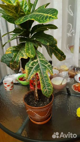 Горшок керамический