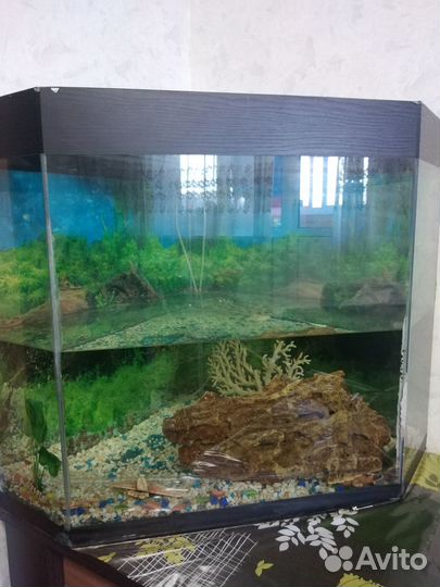 Продам грот, коралл, камушки в аквариум