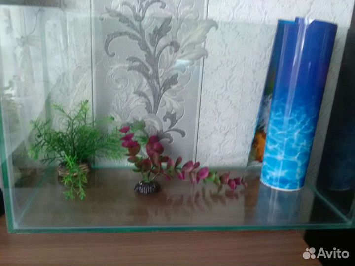 Аквариум, фильтр