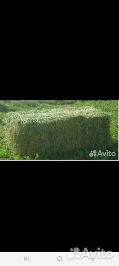 Сено в брикетах