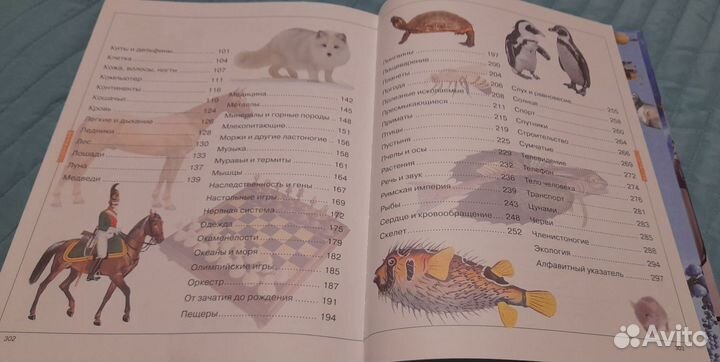 Детская энциклопедия: Что Отчего Зачем