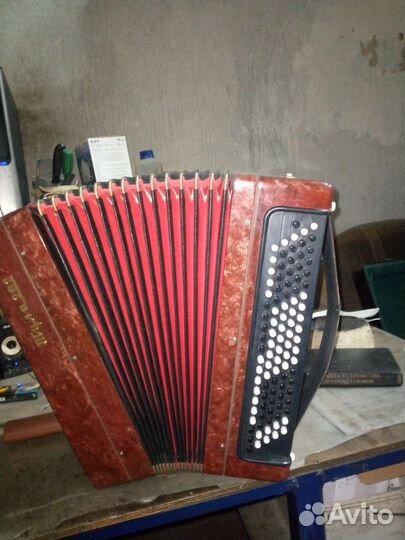 Баян Тула 202