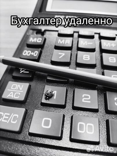 Бухгалтер удаленно