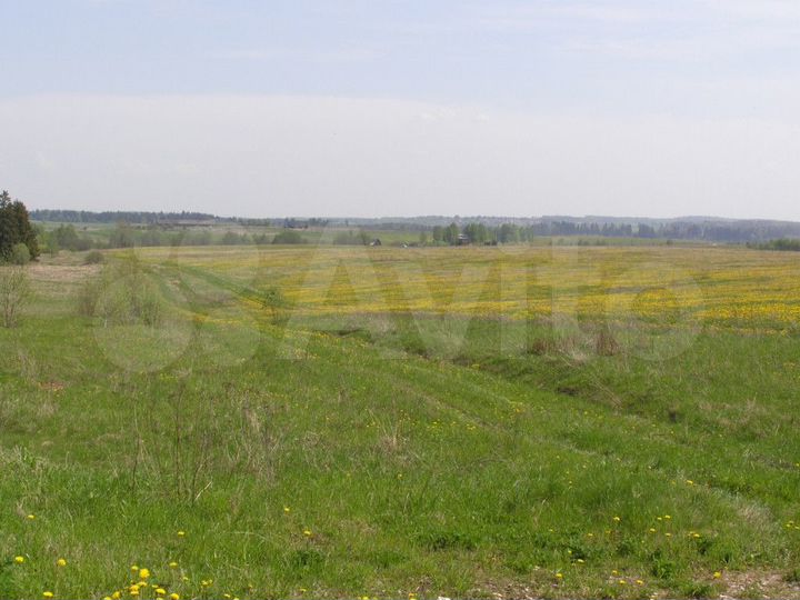 Дом 208 м² на участке 7,73 га