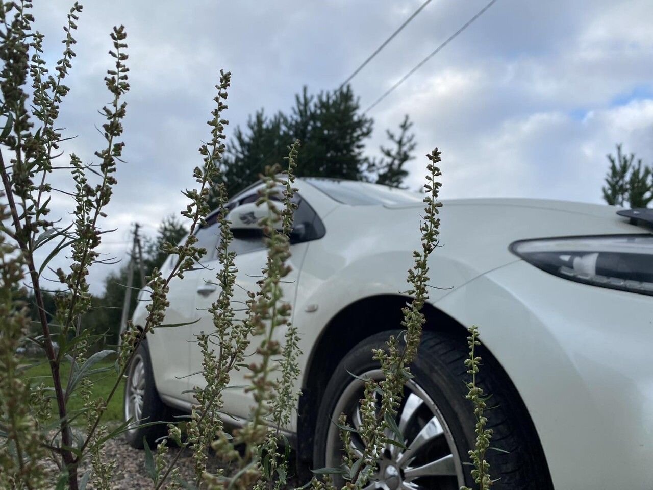 Nissan Murano: фото владельца