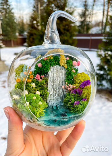 Моссариум в форме яблочко с рыбой, флорариум