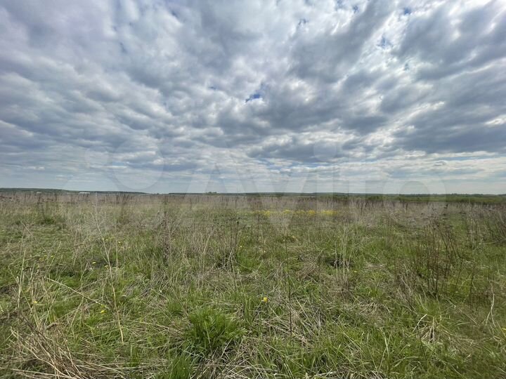 Участок 5,32 га (СНТ, ДНП)