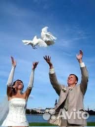 Голуби на свадьбу и мероприятия