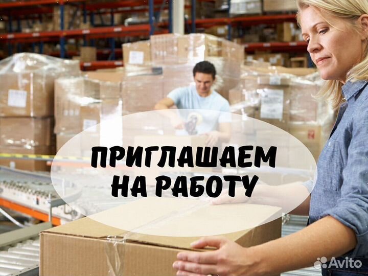 Водитель штабеллера