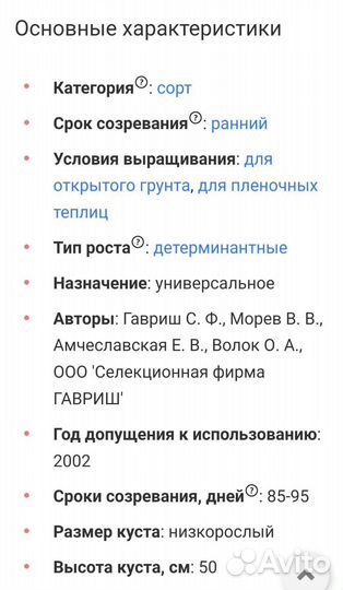 Рассада помидор, излишки