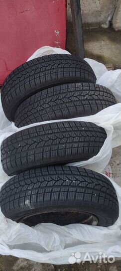 Tigar Winter 1 175/70 R13