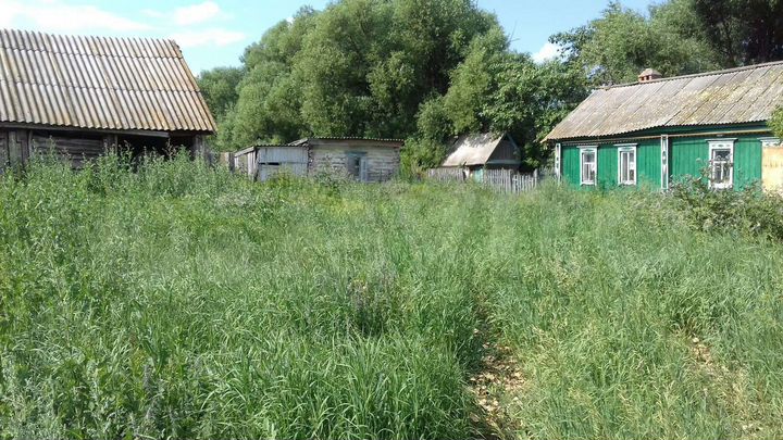 Дом 20 м² на участке 40 сот.