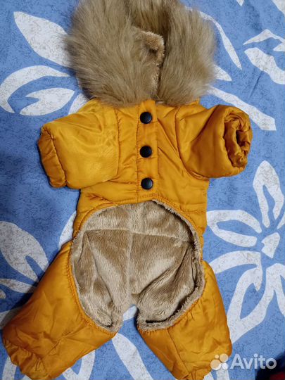 Одежда для собак