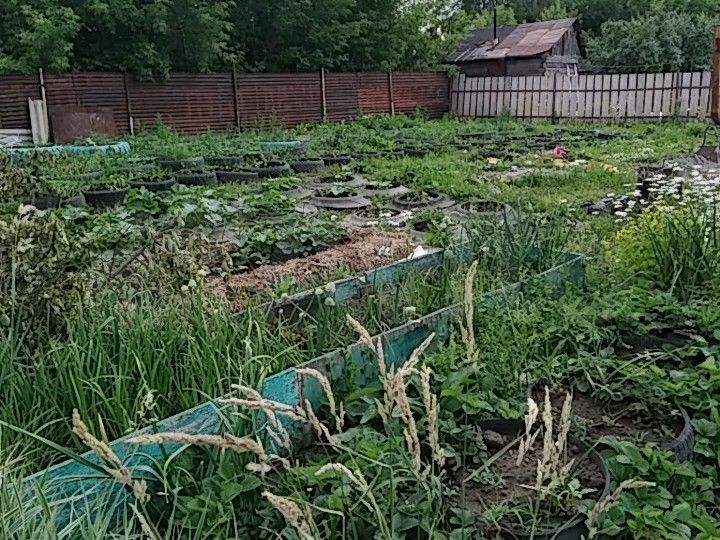 Участок 10 сот. (ИЖС)