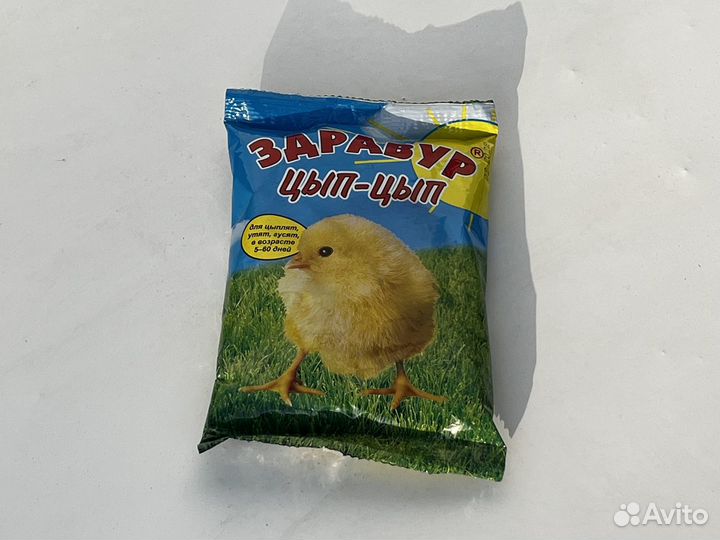 Здравур Цып Цып