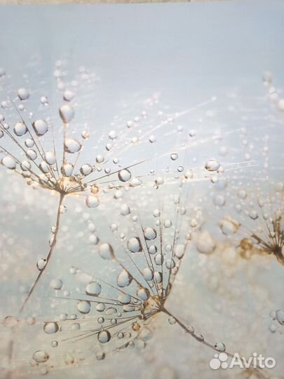 Кухонный фартук стеновая панель