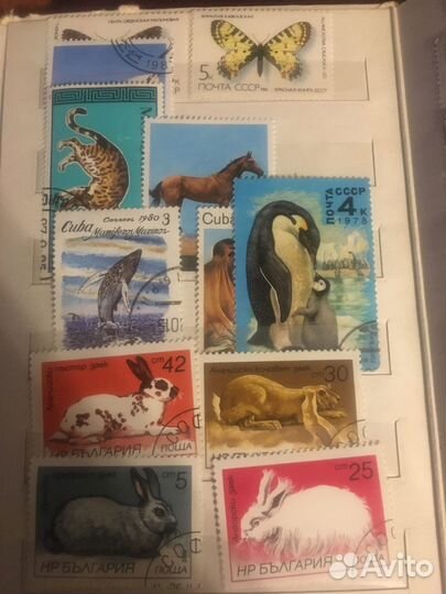 Старые марки