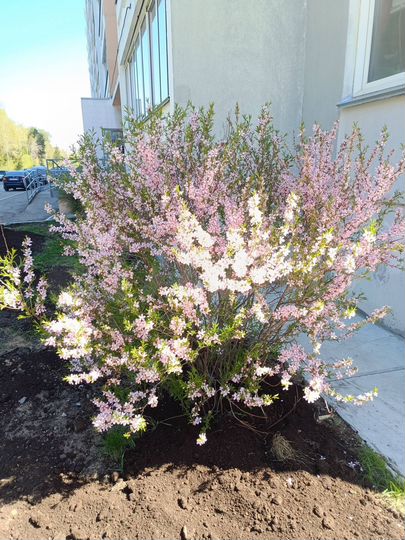 1-к. квартира, 42 м², 4/10 эт.