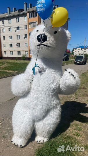 Аниматоры / Ростовые куклы