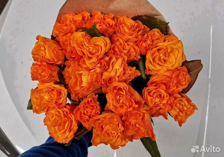 Розы, букет цветов, 101 роза, 51 роза. Розы опт