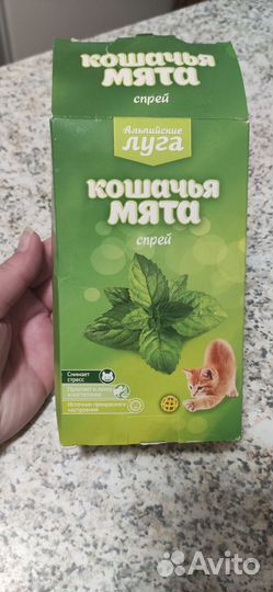 Кошачья мята 