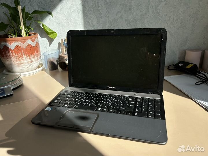 Ноутбук toshiba