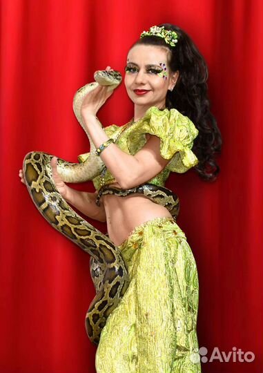 Цирковые животные на ваши праздники