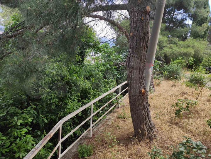 Участок 2,5 сот. (ИЖС)