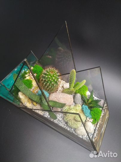 Флорариум 