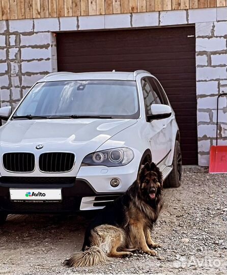 BMW X5 3.0 AT, 2007, 265 000 км