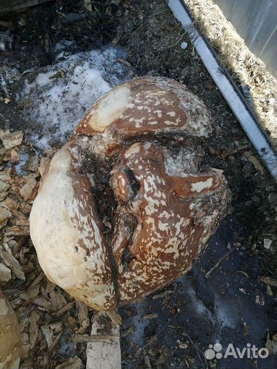 Сувель (кап)