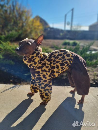 Комбинезоны для собак