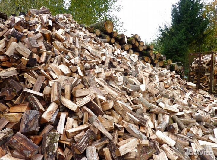 Дрова осина