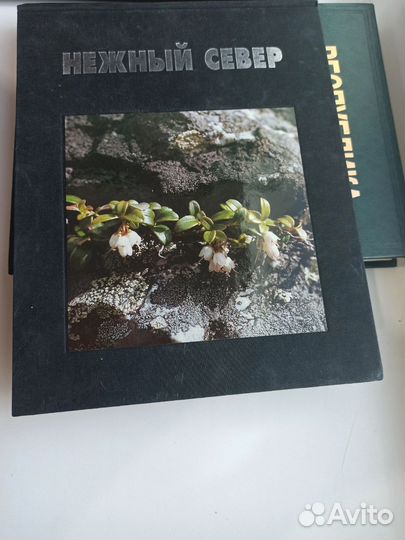 Книги Республика Коми, Сыктывкар, Север