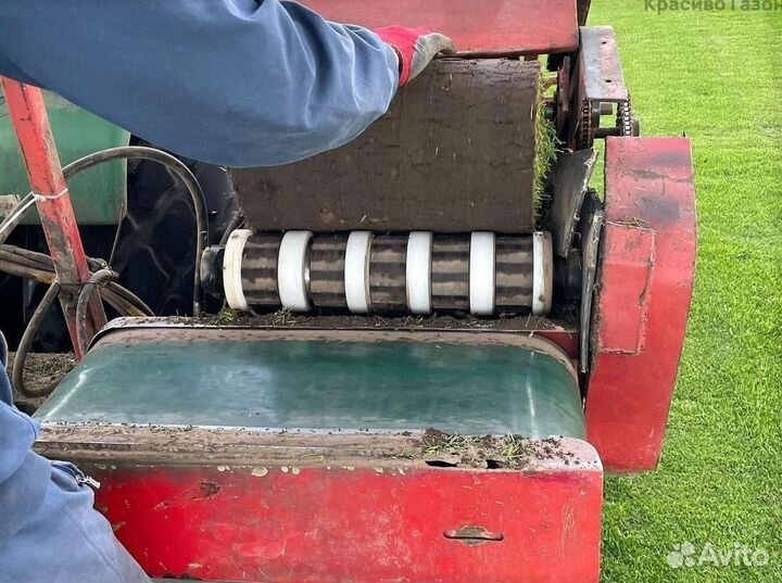 Газон с быстрой доставкой