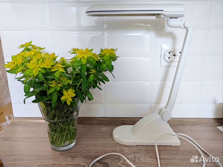 Лампа настольная