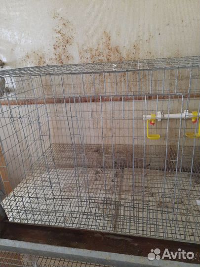 Клетка для птиц-цыплят кур