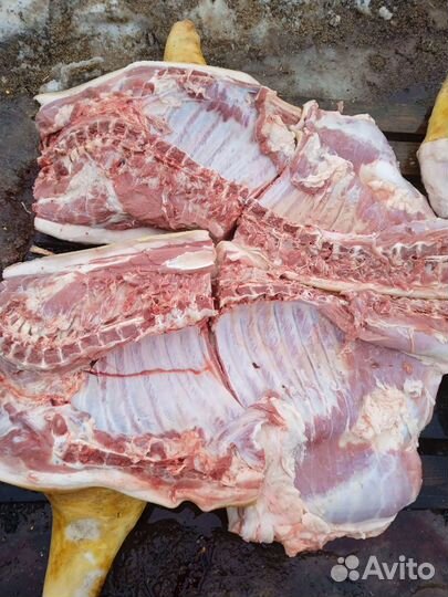 Мясо свинины