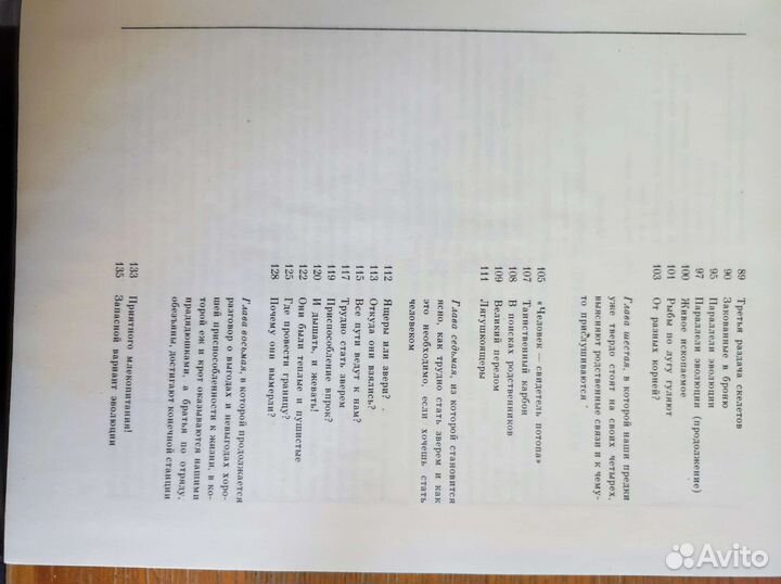 Тропой времен