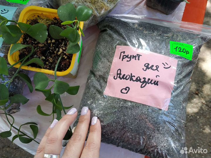 150. Грунт - Субстрат для цветов