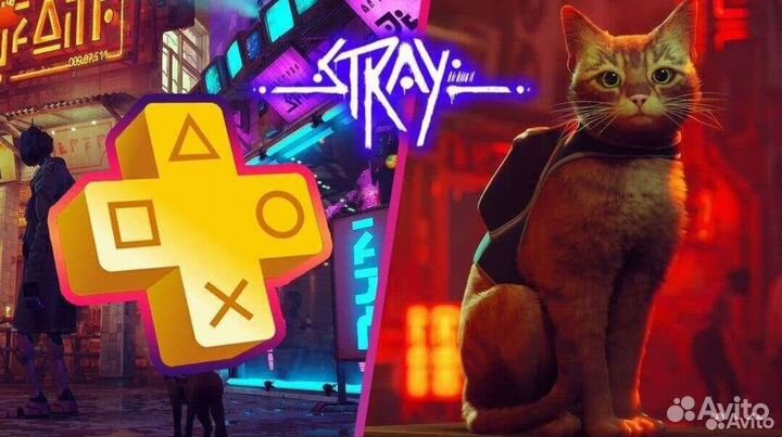 PS5 PS4 essential \ extra \ deluxe \ eaplay