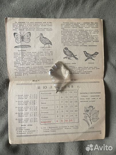 Календарь природы на 1948 г.(31-я годовщина воср)