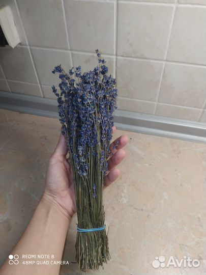 Крымская лаванда