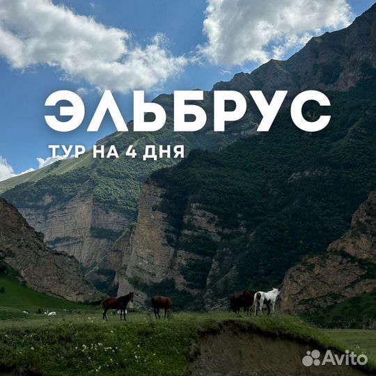 FLY-tour Эльбрус