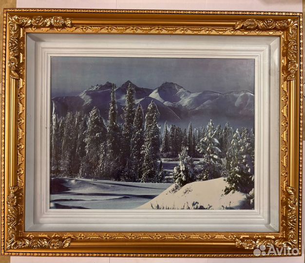 Картина 62 х 51