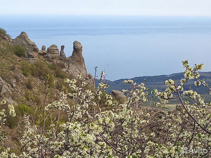 Индивидуальные экскурсии по Крыму