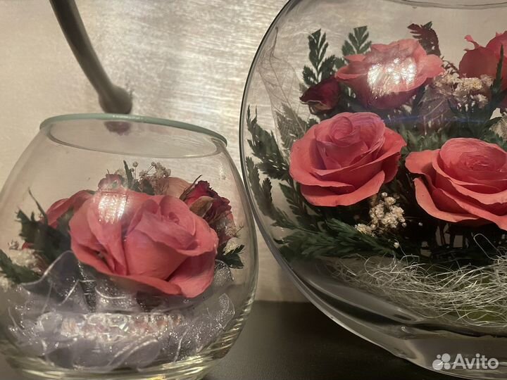Стабилизированные живые цветы в стекле 'fiora'