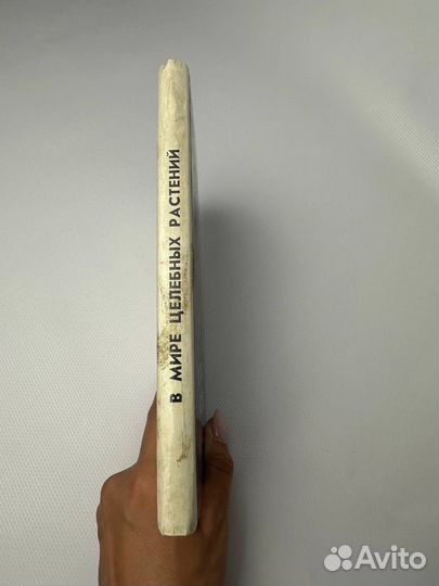 В мире целебных растений В Н Костюченков