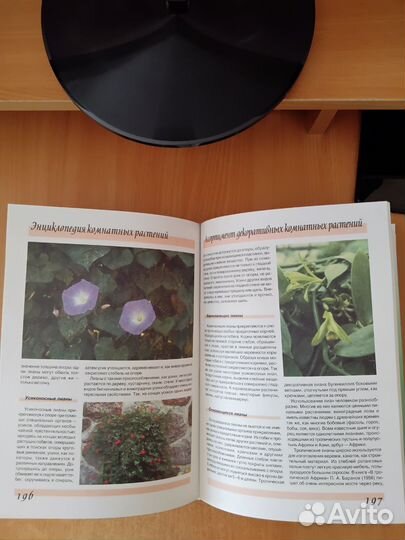 Энциклопедия комнатных растений