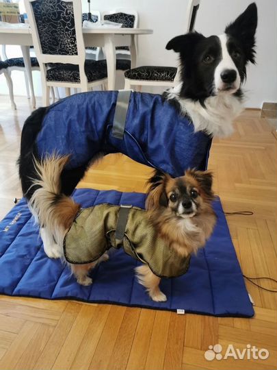 Охлаждающая попона жилет для собаки